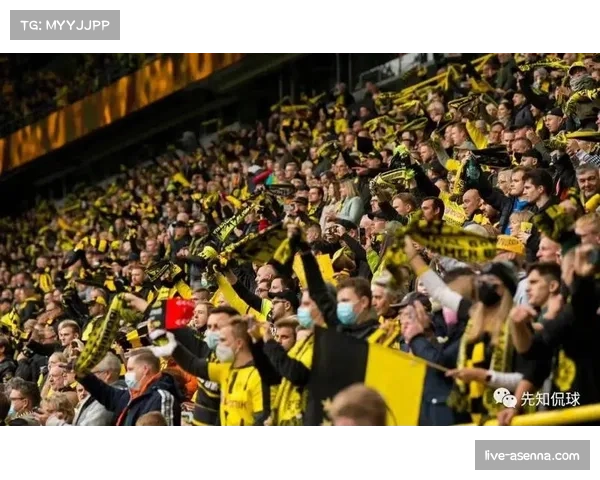 球迷抗议：多特蒙德主场球迷再次抛撒网球抗议德甲海外早场比赛安排